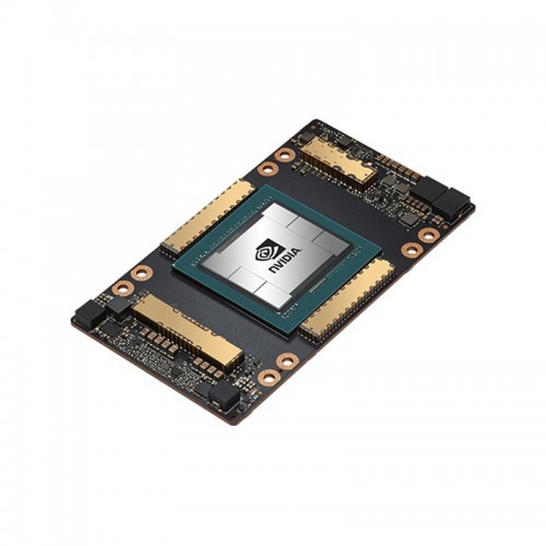 NVIDIA H100 (customized)